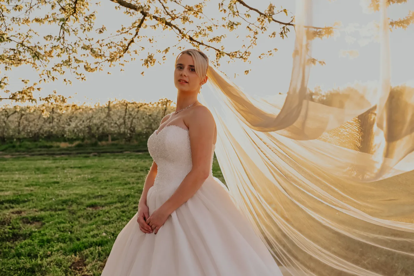 Mariée sous un arbre en fleurs au coucher du soleil, son voile emporté par le vent