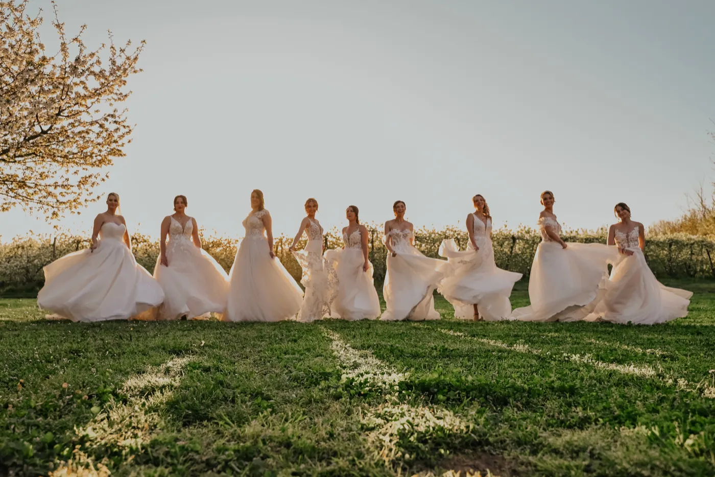 Neuf mariées en robe de mariée dans un verger en fleurs au coucher du soleil, lors d'un salon du mariage